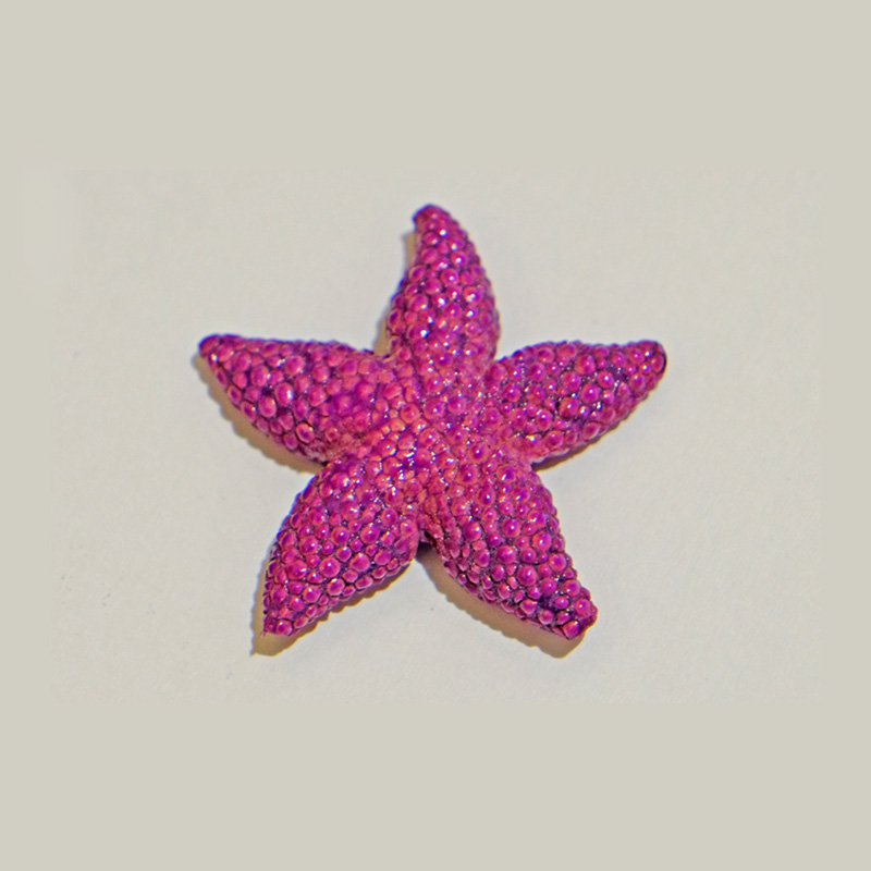 stella marina galuchat